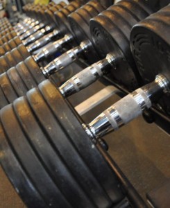 Gym Workouts Dumbell Rack 245x300 Gym Workouts